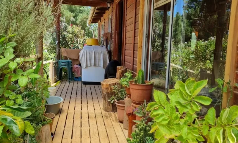 D_NQ_NP_2X_619258-MLC79775079123_102024-F-se-vende-casa-en-el-fundo-la-petrilla