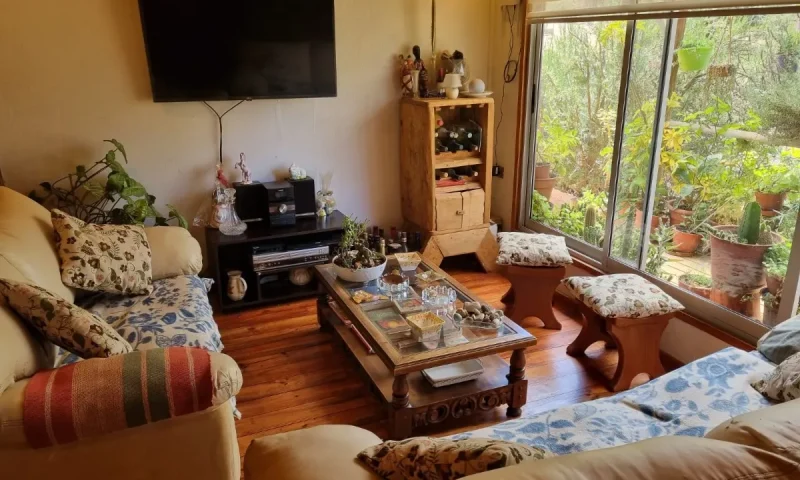 D_NQ_NP_2X_808791-MLC79527807092_102024-F-se-vende-casa-en-el-fundo-la-petrilla