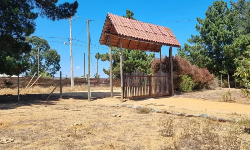 D_NQ_NP_2X_823838-MLC79775088407_102024-F-se-vende-casa-en-el-fundo-la-petrilla